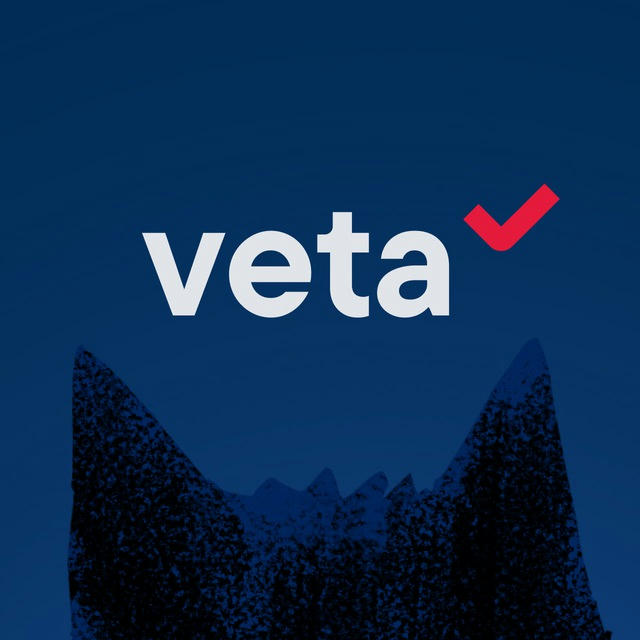 Экспертная группа Veta
