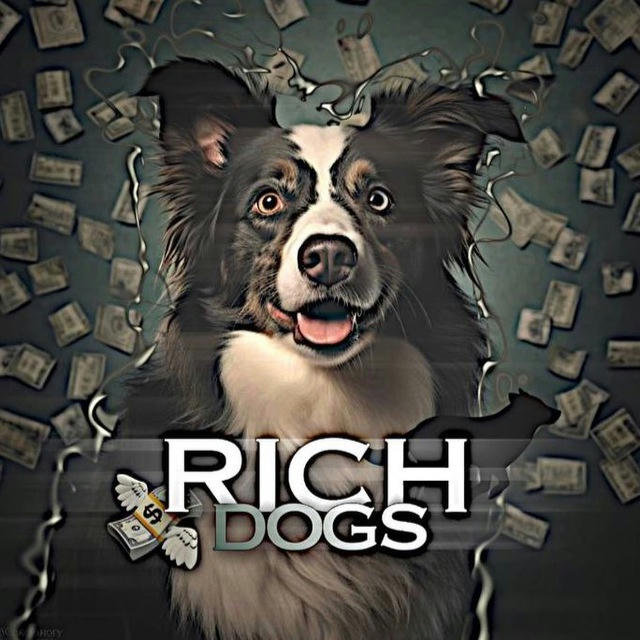 Rich.dogs🤍