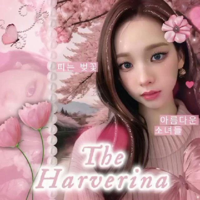 .. 𝜗𝜚 ׄ ִ 떨어지는 벚꽃; Harverina ִ ׄ 𓋜