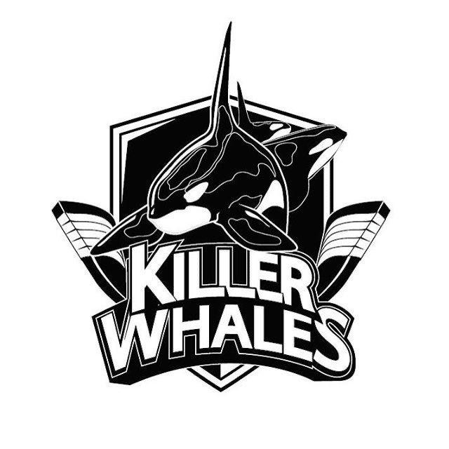 Killer whales 🐳 call