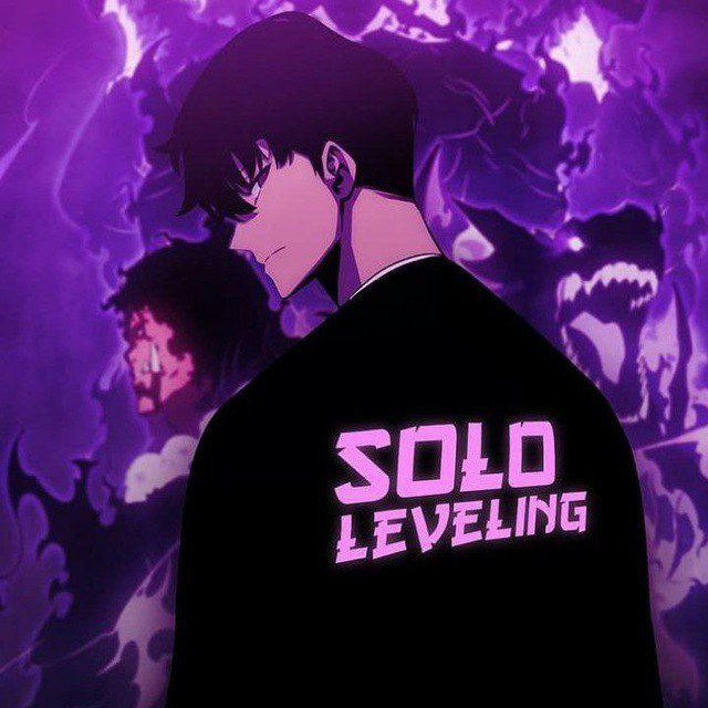 Solo Leveling Saison 1 VF