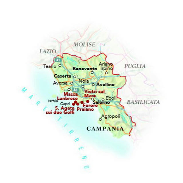 Campania Times