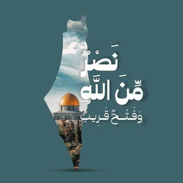 فريق السعاده🇪🇬 دعم غزة 🇵🇸