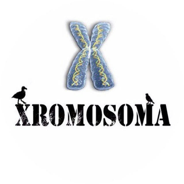 XROMOSOMA