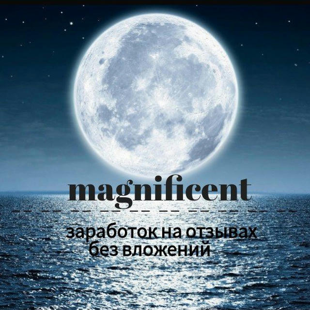 magnificent || заработок на отзывах