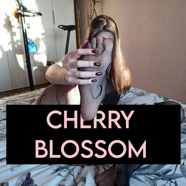 🌸 Cherry Blossom 🌸