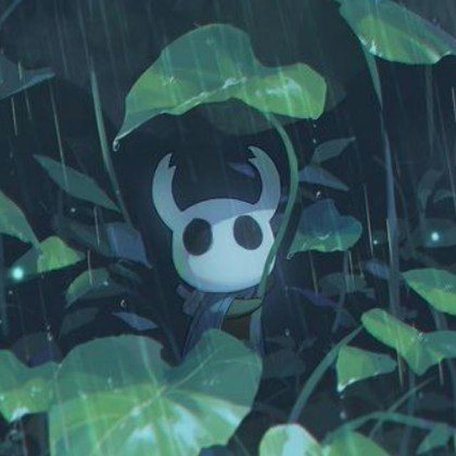 Hollow Knight & SilkSong confessions