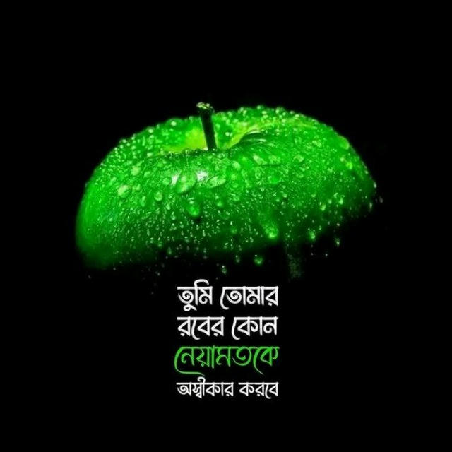 ইসলামিক বইয়ের পিডিএফ