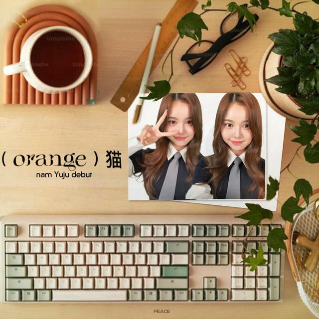 ﹙orange﹚猫