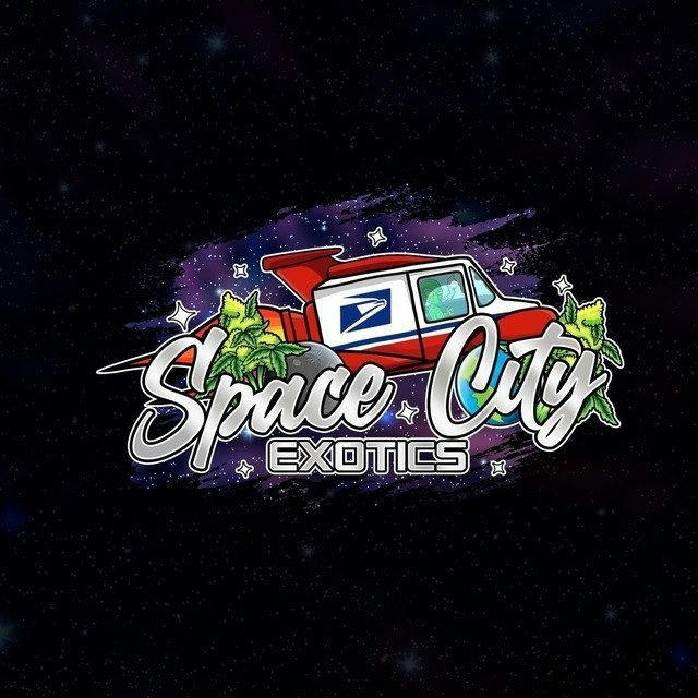 SpaceCityExotic