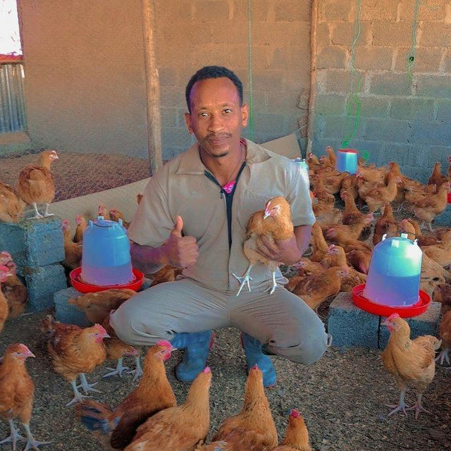 Nina Chicken Farm