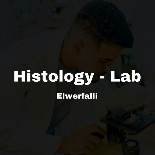 Lab ( 2nd - Histology )