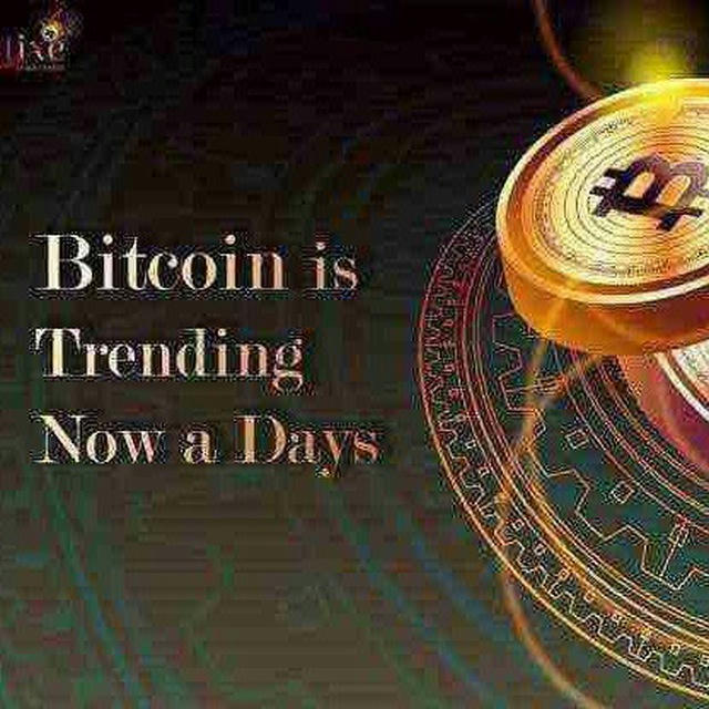 Amit Bitcoin Trading Company