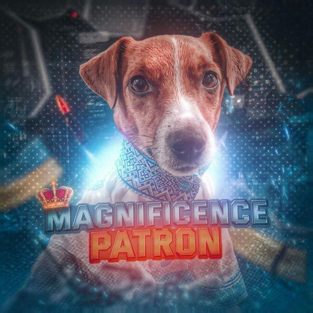 Magni Patron 🐾