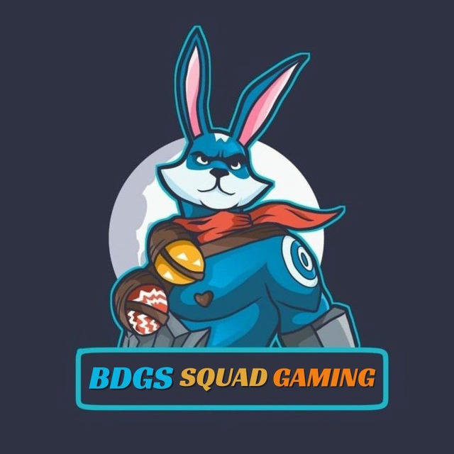 BDGS SQUAD GAMING