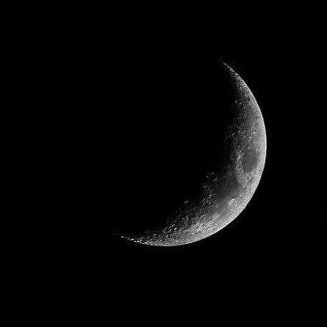 ماه شب |𝐌𝐨𝐨𝐧 𝐧𝐢𝐢𝐠𝐡𝐭𝐬|