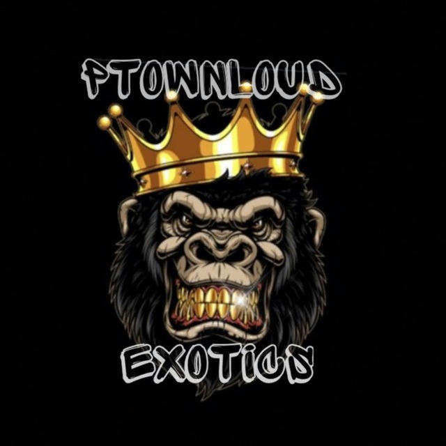 PTownLoud_ Exotics