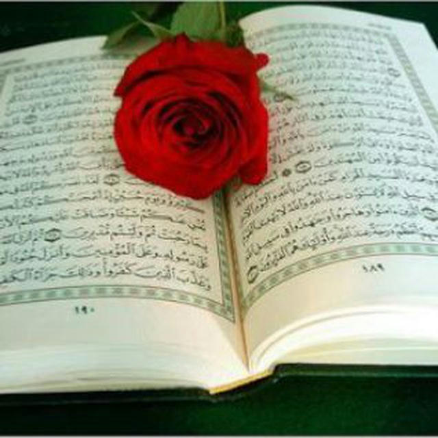 تلاوة القرآن الكريم مع أجمل الأصوات 🎙️ 🌹