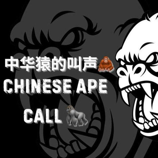 將您的專案置於 CHINESE🇨🇳APES🦍 CALLS) |SOL|ETH|BSC|E.T.C.