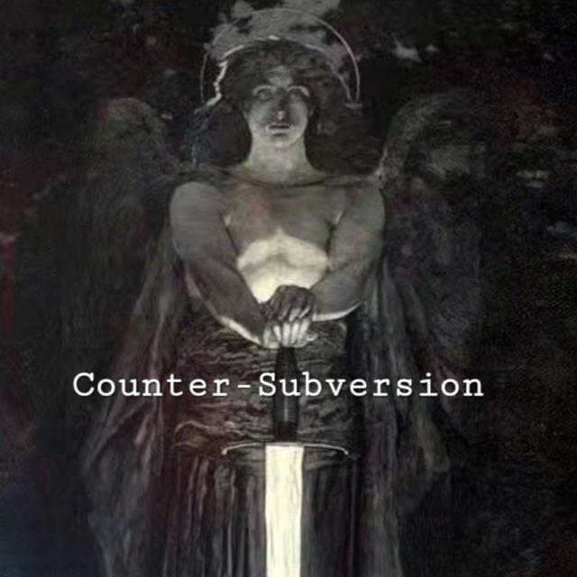 Counter-Subversion