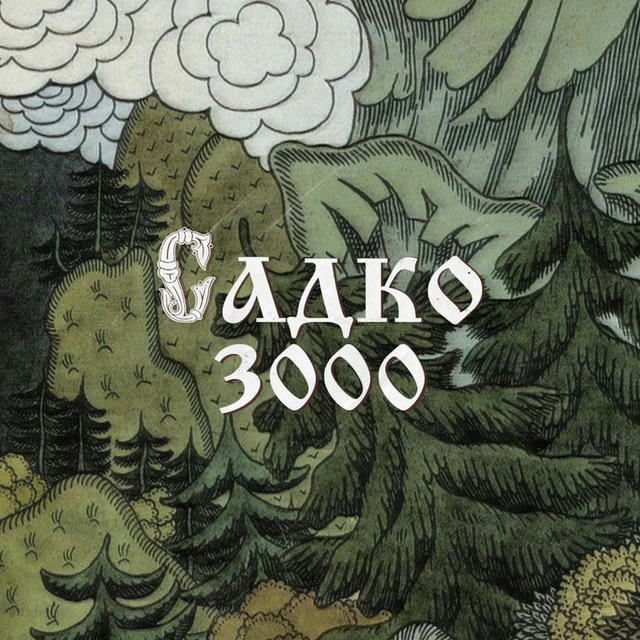 САДКО 3000