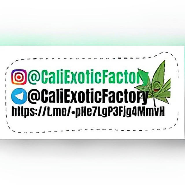 Cali Exotic Factory