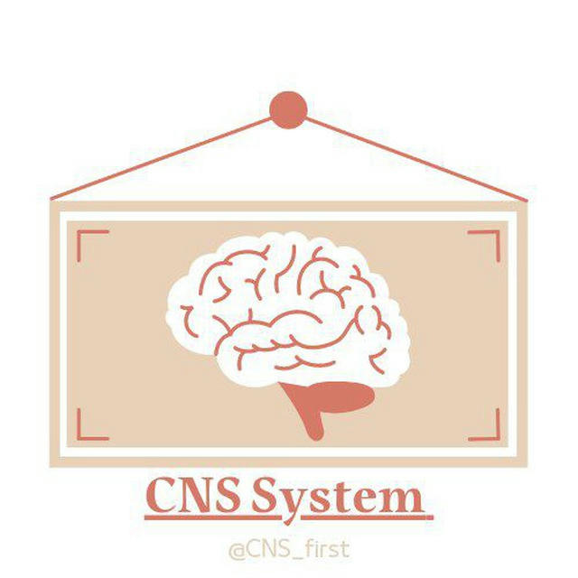 Central Nerves System