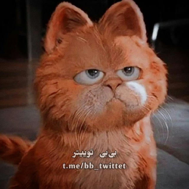 • بی‌بی توییتر 🔞 BBtwitter •