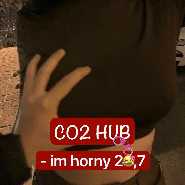 CO2 HUB🍒