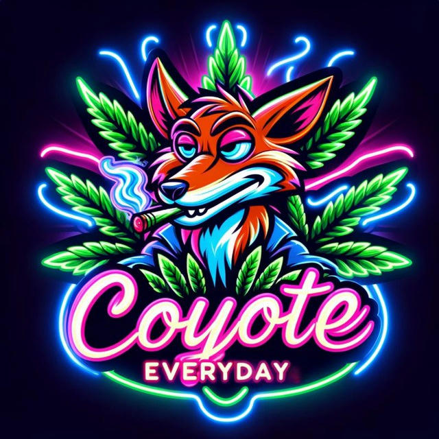 Coyote Everyday