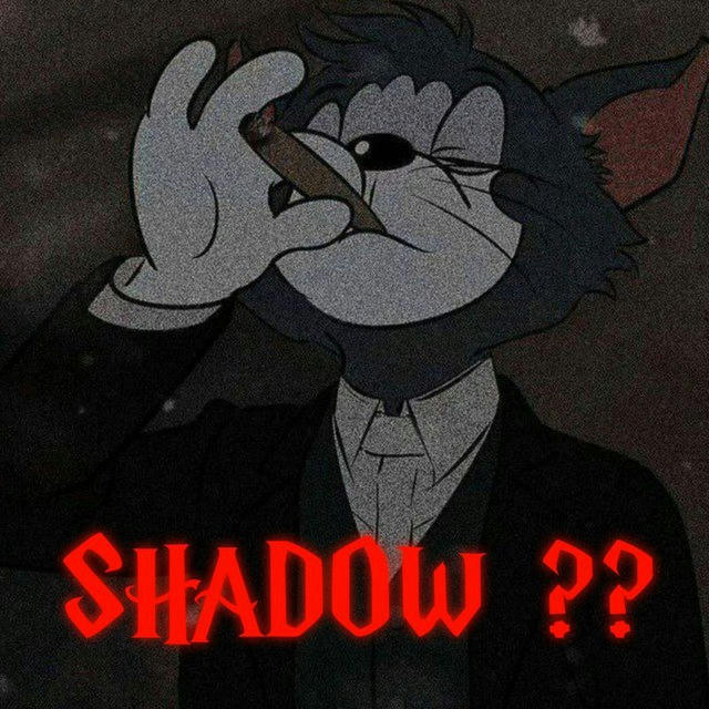 SHADOW 𝐒𝐓𝐎𝐑𝐄