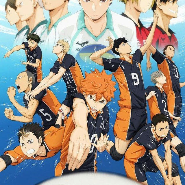 HAIKYU!! Season 1 In Official Hindi Dubbed