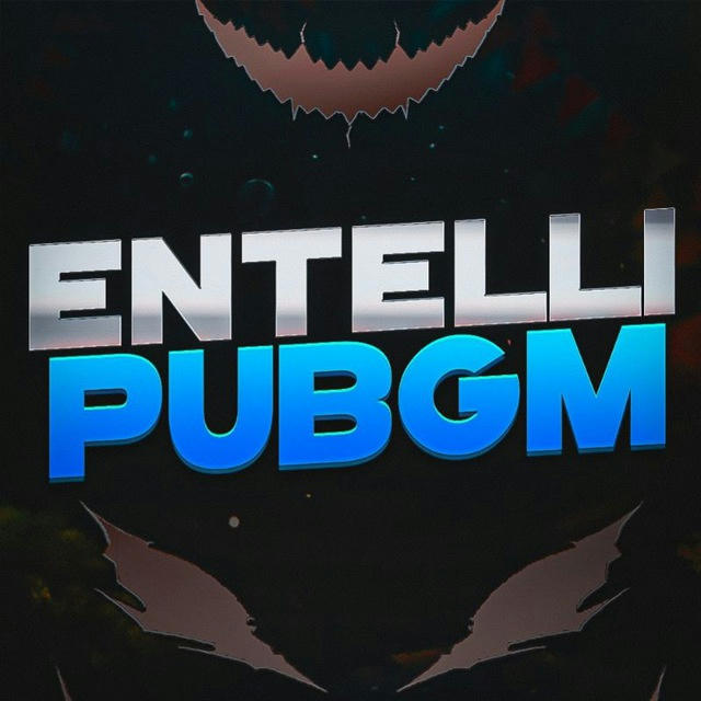 ENTELLI PUBGM🗽