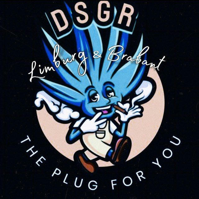 DSGR - THE PLUG🍫🥦