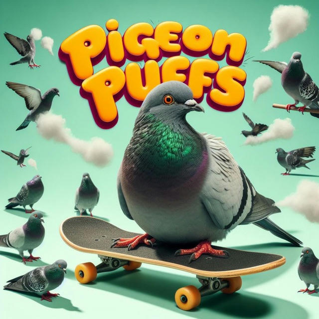 Pigeon Puffs Outfits