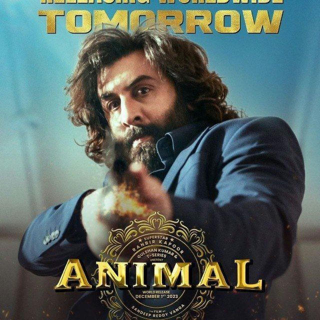 Animal Tiger 3 Jawan Dunki Salaar 12Th Fail Sam Bahadur Movie HD Hindi Tamil Telugu Download Link