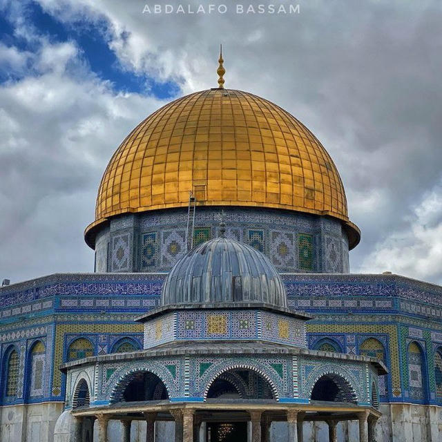 🇵🇸🔻حامیان فلسطین 🔻🇵🇸