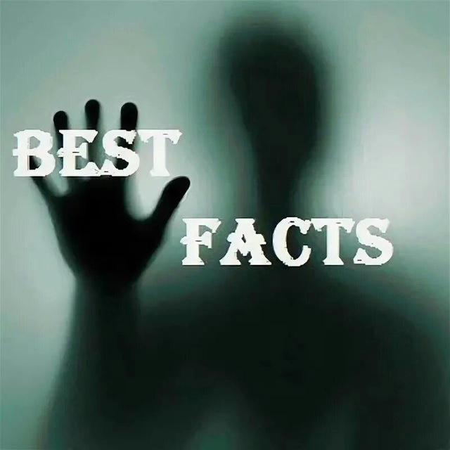 Best Facts
