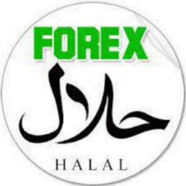باقات استثمار وتسليم ارباح 📊