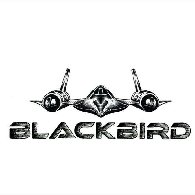 Blackbird 🚀