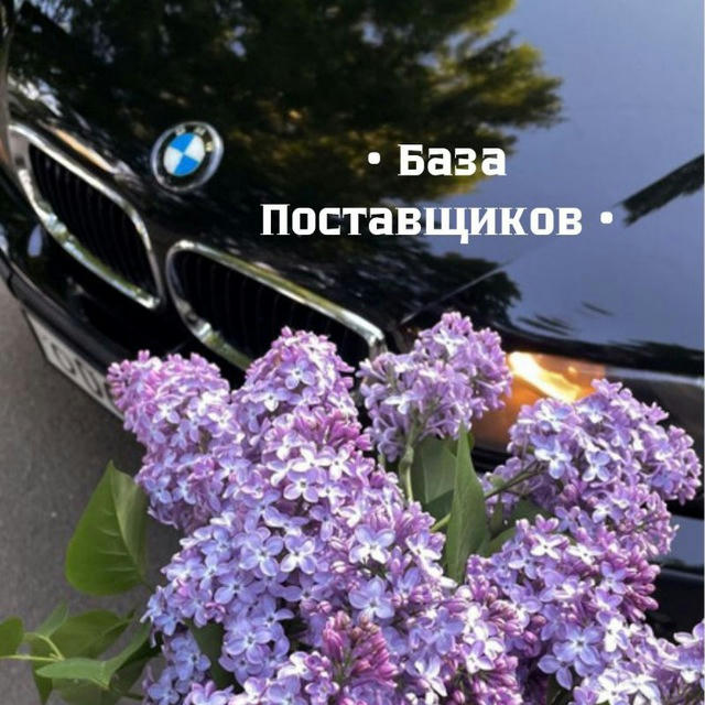 💜| поставщики от mi