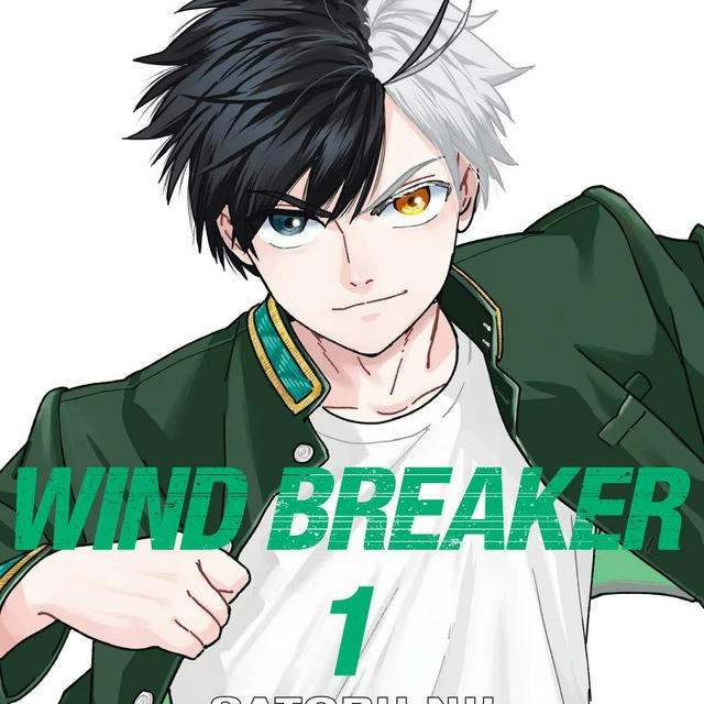 Wind Breaker Manga
