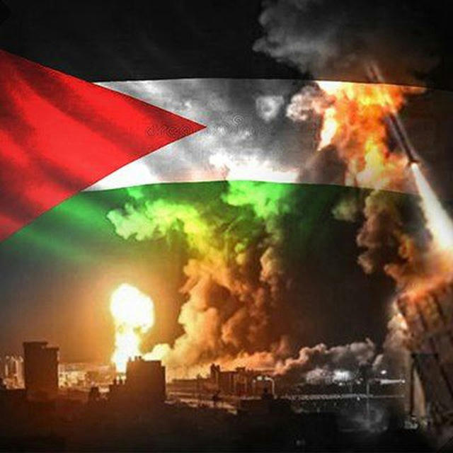 الحرب الالكترونية تضامنا مع غزة