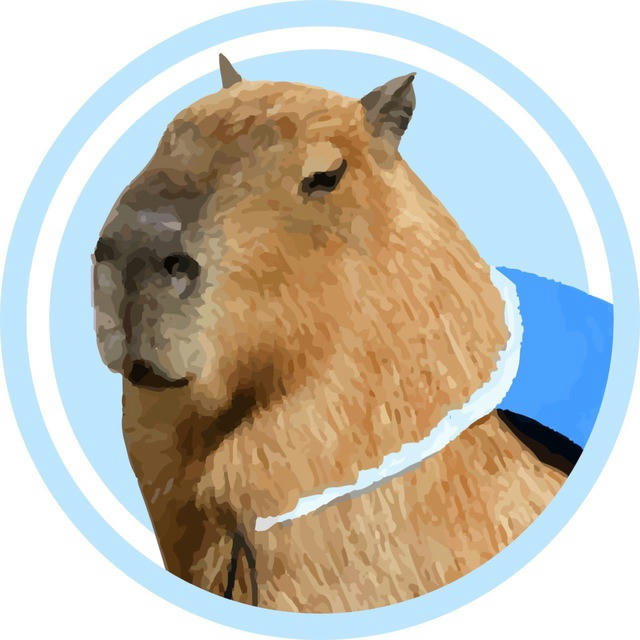 Capybara on Sui