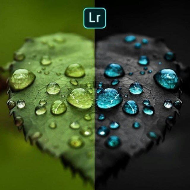 Lightroom Mobile Presets يوميات الرسام