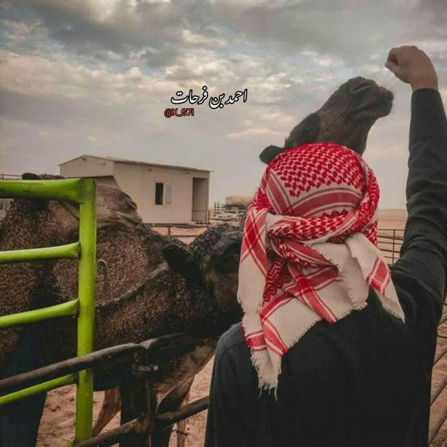 احٍـمـدِ بَــن فُࢪحٍــاتَ 🇵🇸