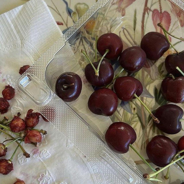 ₊ ᯏ чᥱρʙнᥱʙᥙᥔ ᥴᥲд 🍒 ! . 사る