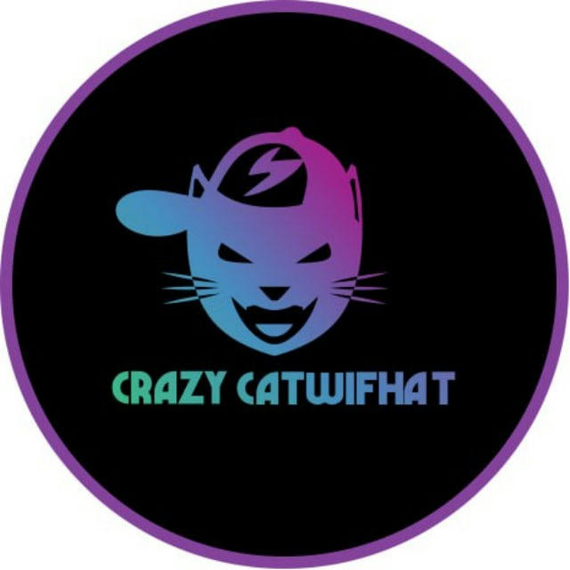 Crazy CatWifHat I Portal