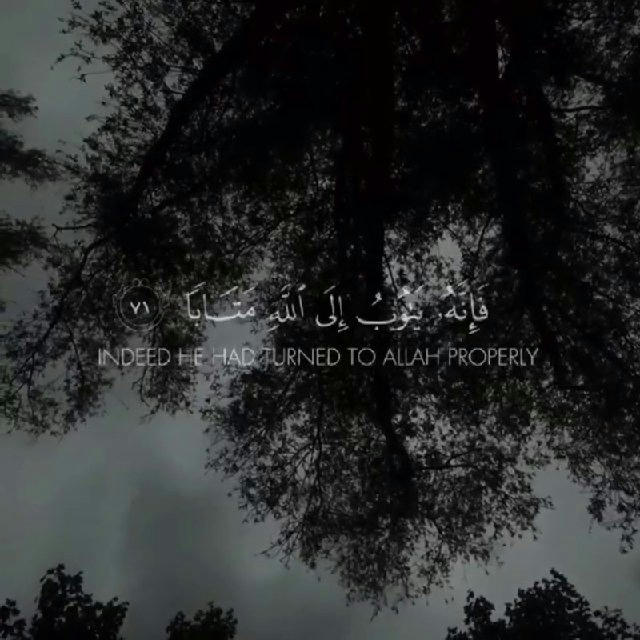 🎄♛ وكلمة الله هي العليا♥ ✊💛