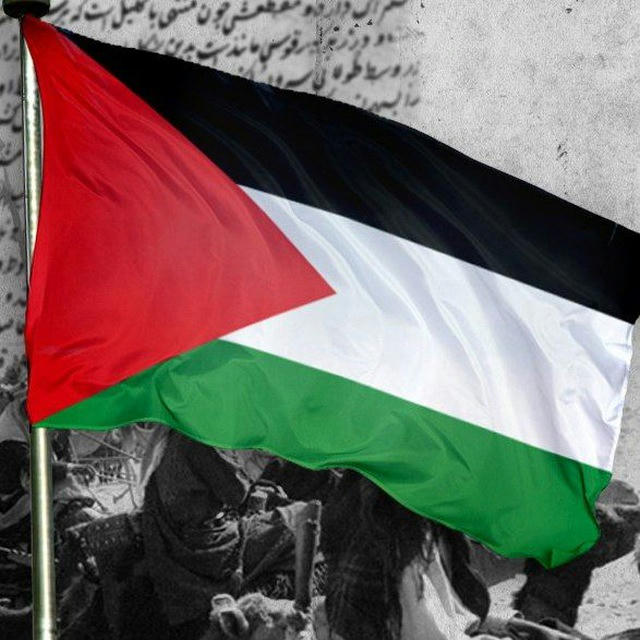 🇵🇸PALESTINE🇵🇸